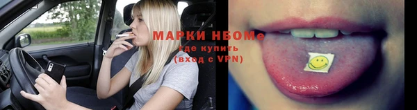 хмурый Бородино