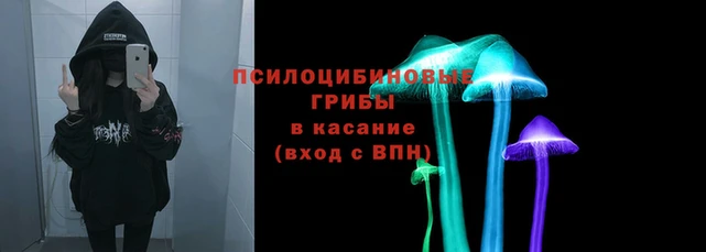 a pvp Богородск