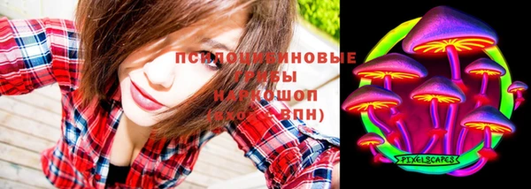 МДПВ Богданович